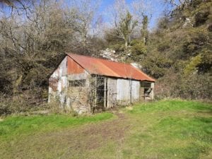 Delapidated-barn-nestled-in-corner-of-a-field-with-trees-behind-it.