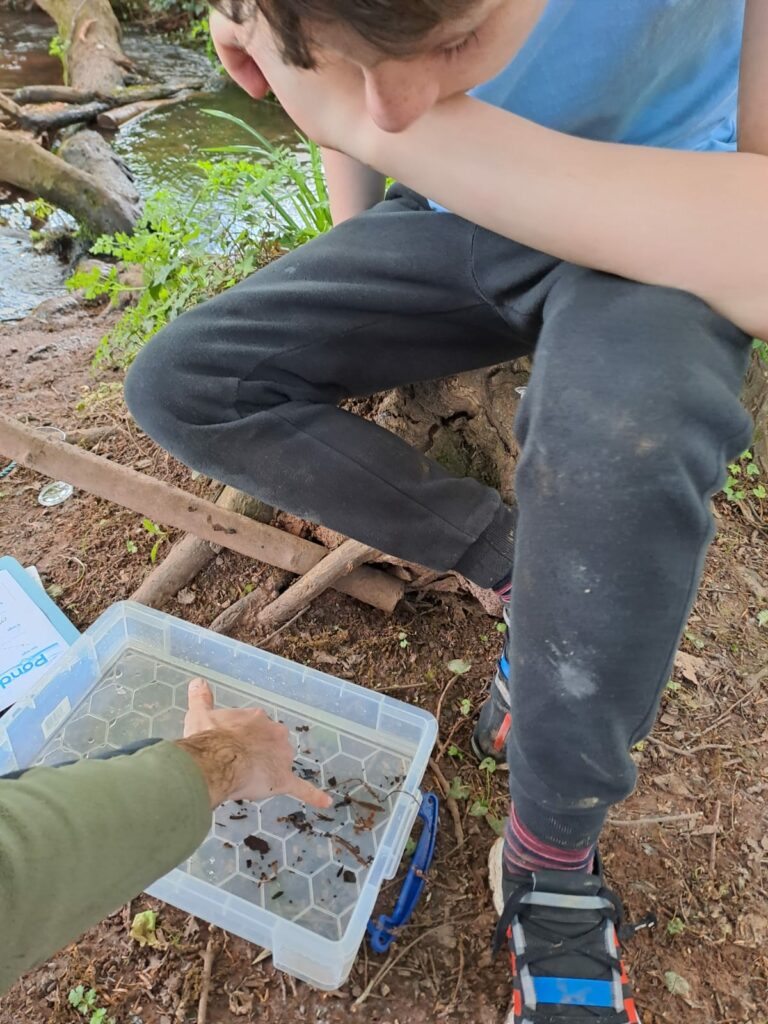 student looking at a plastic box containing a fish they've just caught in a stream 