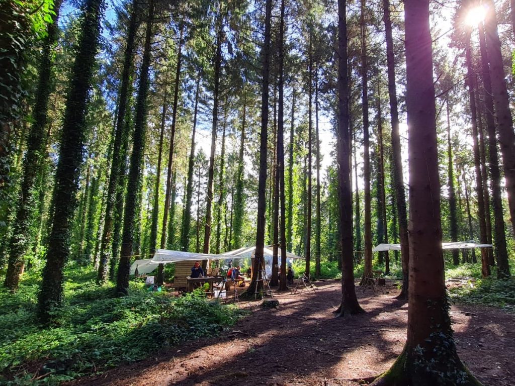 Outdoors shelter set up in a Devon forest