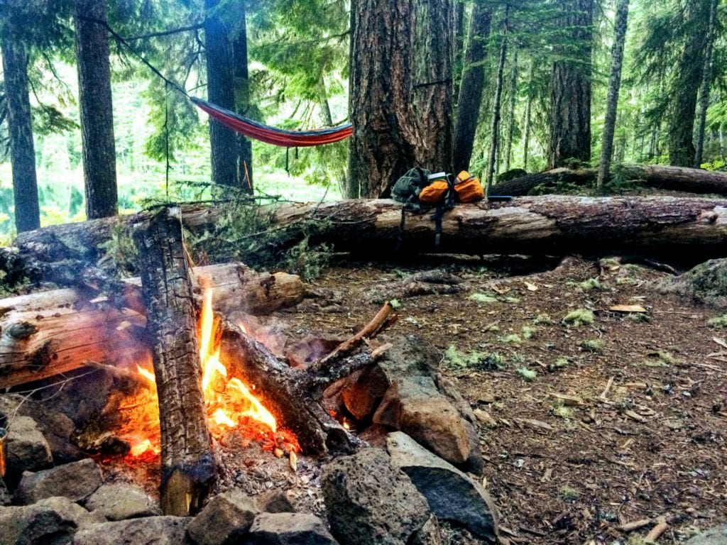 campfire-with-logs-and-hammock-behind-in-the-background.